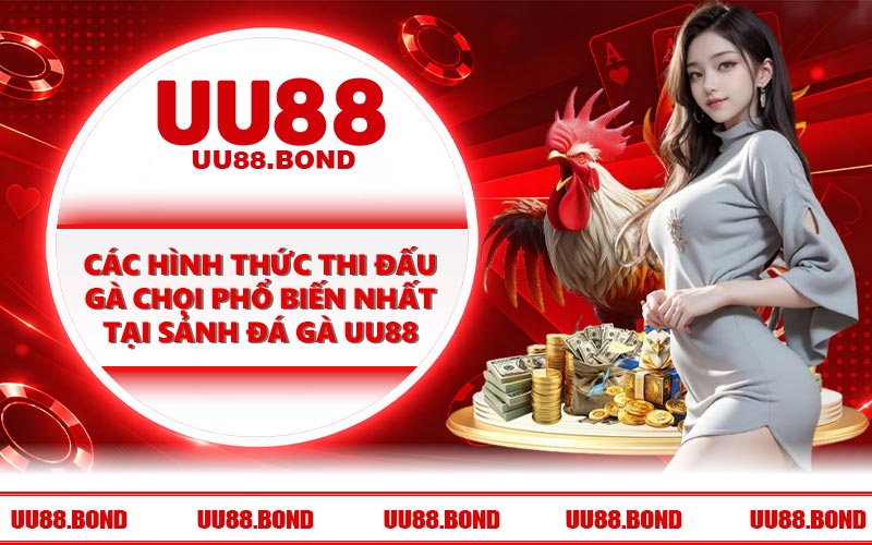 Các hình thức thi đấu gà chọi phổ biến nhất tại sảnh đá gà UU88