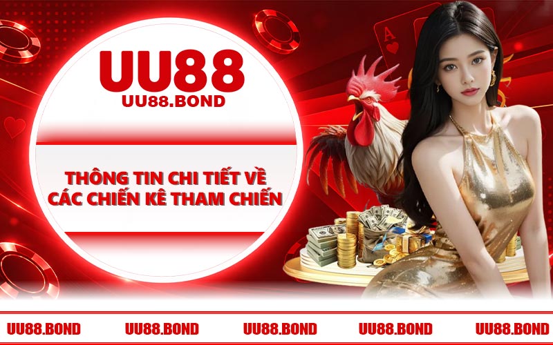 Thông tin chi tiết về các chiến kê tham chiến
